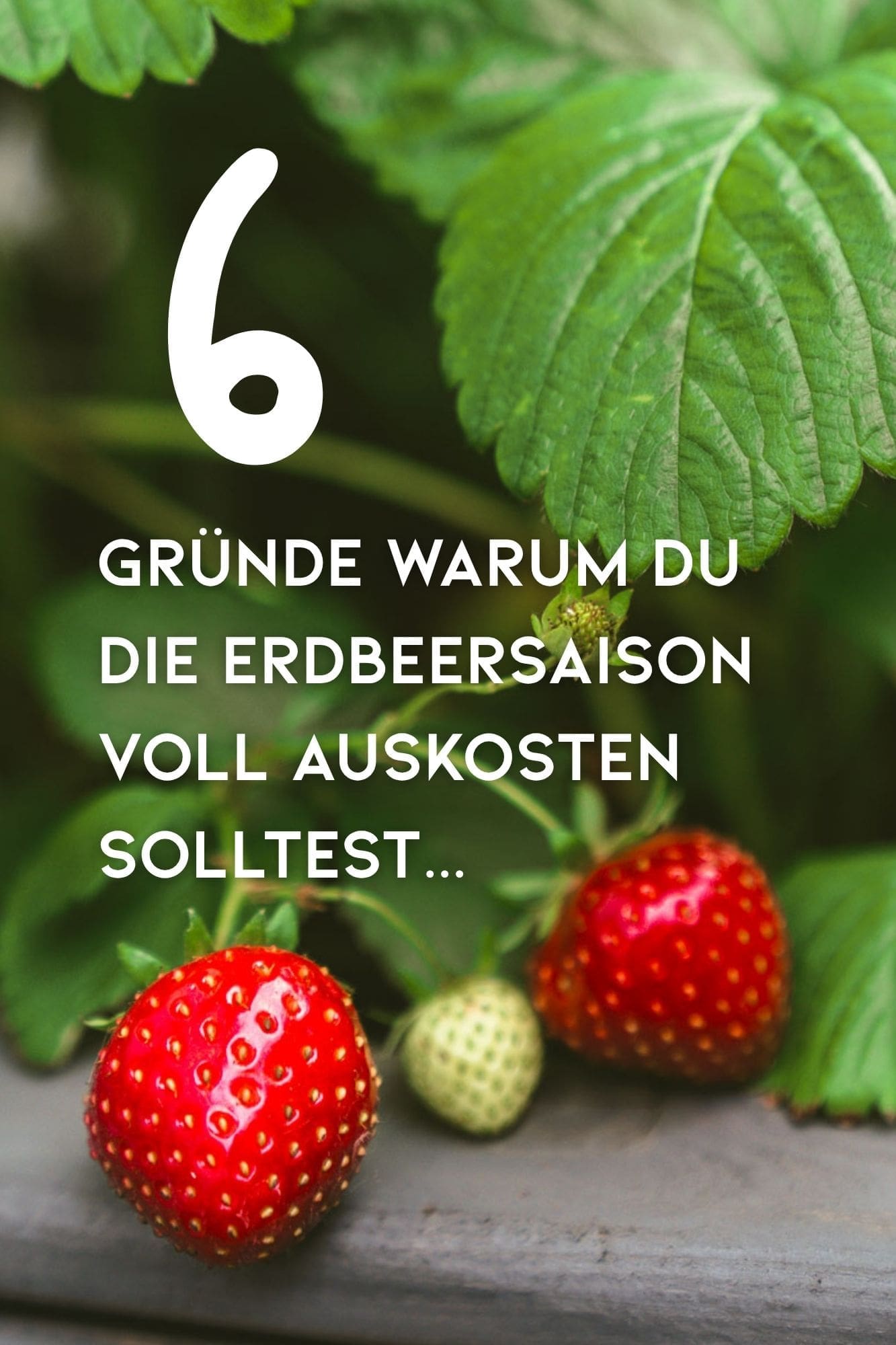 Die besten Erdbeerrezepte: 6 unwiderstehliche Gründe, die Erdbeersaison voll auszukosten! 3 Die besten Erdbeerrezepte: 6 unwiderstehliche Gründe, die Erdbeersaison voll auszukosten!