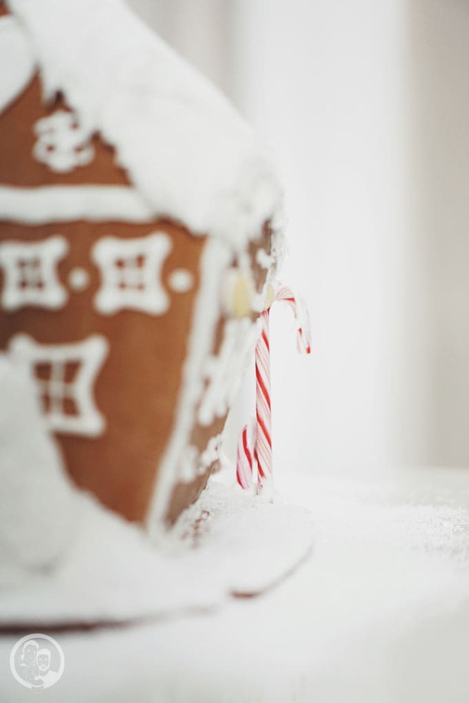 image 9 1 3 | Jetzt ist es schon wieder soweit und die ersten Weihnachtsmärkte haben ihre Tore geöffnet. Überall in der Stadt riecht es nach heißen Maronen, Lebkuchen und anderen weihnachtlichen Düften. Zeit daher auch, mit der Weihnachtsbäckerei so langsam anzufangen, damit für die Advents- und Weihnachtszeit genügend Plätzchen in der Speisekammer bereitstehen.