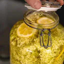Holunderblütensirup selber machen | einfaches Grundrezept 7 Holunderblütensirup selber machen. Glas beim Verschließen.
