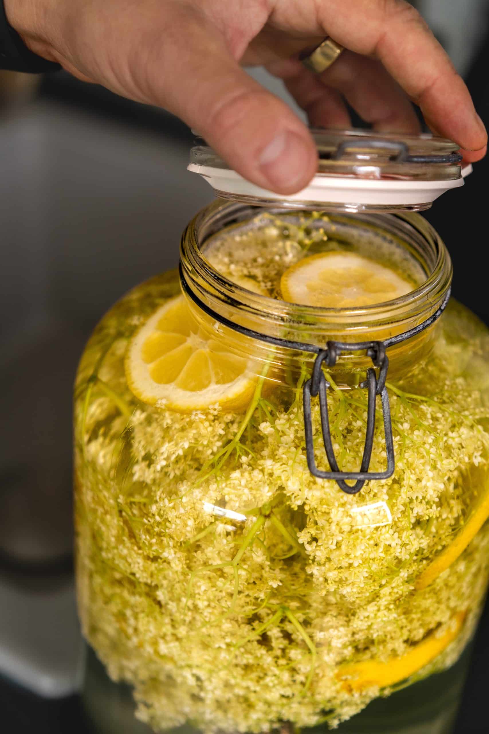 Holunderblütensirup selber machen | einfaches Grundrezept